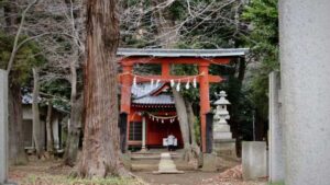 氷川神社鳥居
