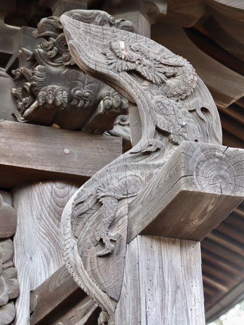 龍