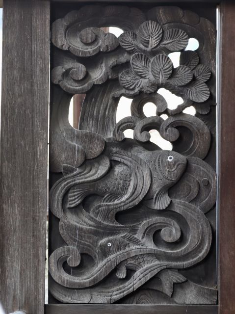 金魚の様な鯉