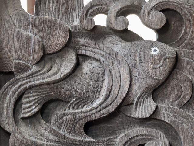 金魚の様な鯉