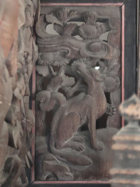 狐