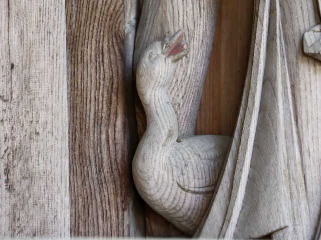 白鵞