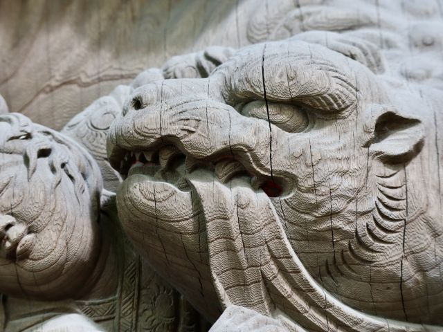 虎