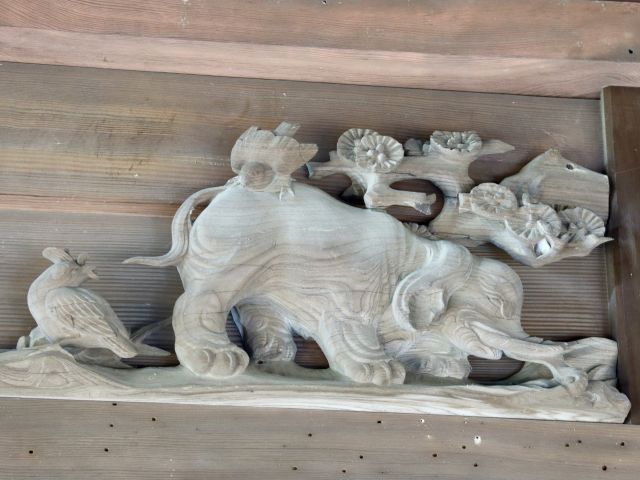 象