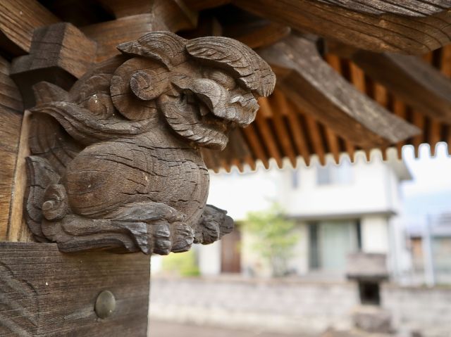 獅子鼻