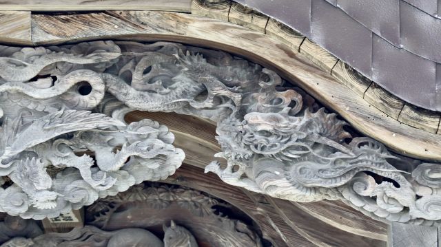 龍