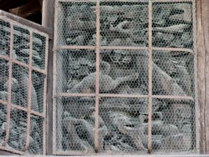 二十四孝　楊香