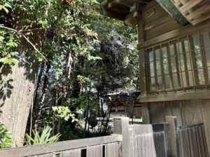 子鍬倉神社御本殿