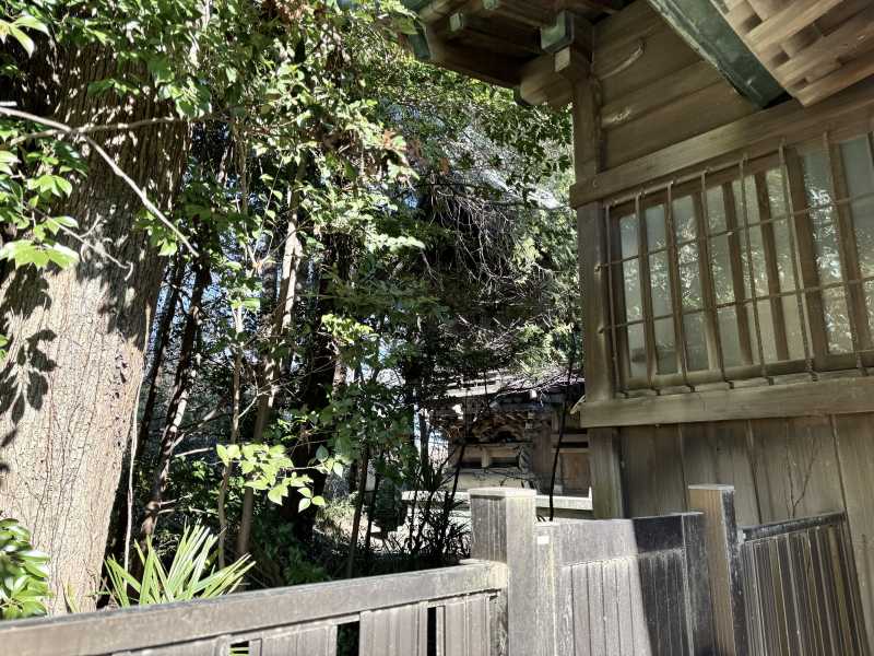 子鍬倉神社御本殿