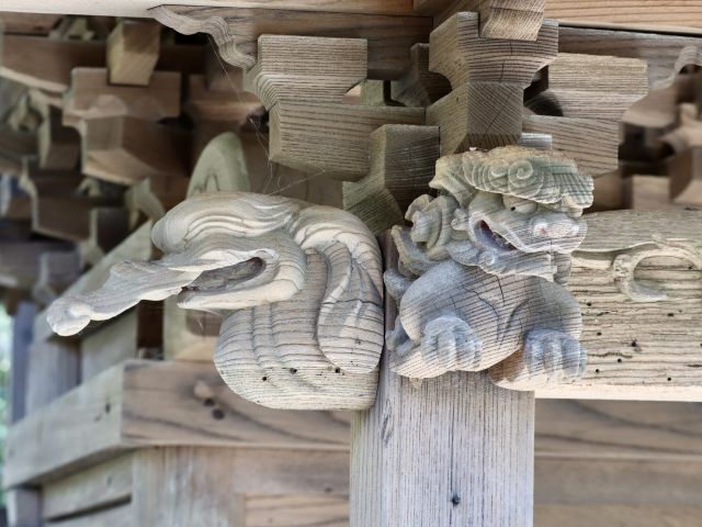 獅子鼻と象鼻