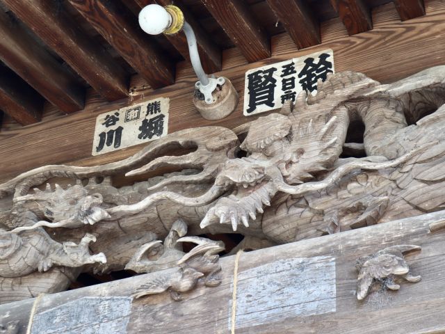 向拝の龍
