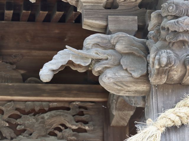 象鼻