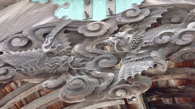 化け鯉