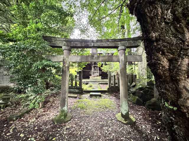 大沢天稲荷神社鳥居