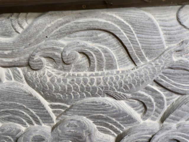 鯉
