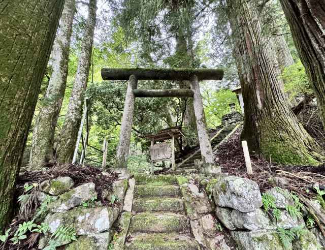 温泉神社鳥居